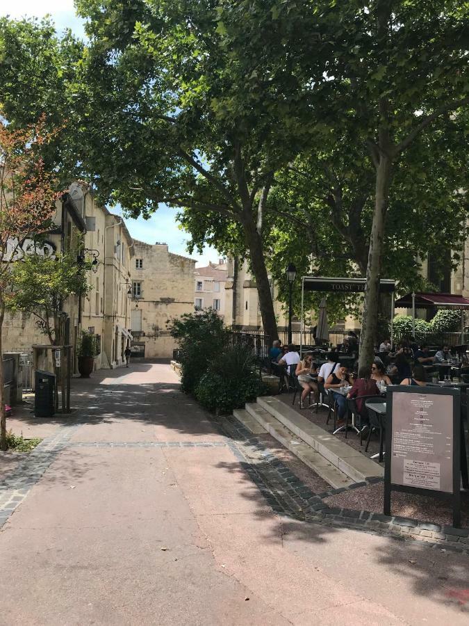 Superbe ! Appart T2 - Centre Historique & Tram - Situation Ideale Appartement Montpellier Buitenkant foto